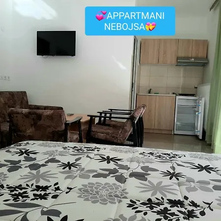 Nebojsa Apartment Sokobanja