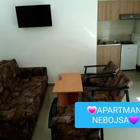 Nebojsa Apartment *