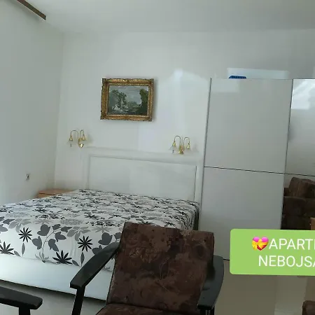 Nebojsa * סוקו בניה