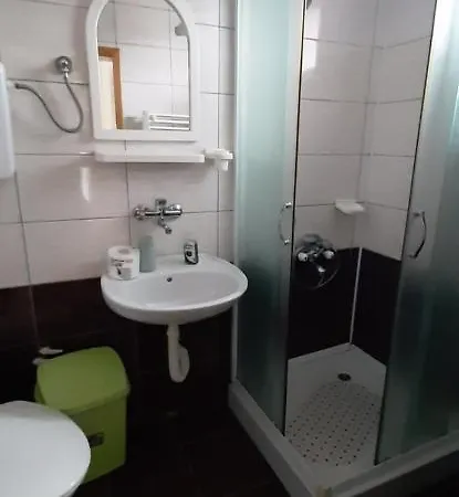 Nebojsa Apartment Sokobanja