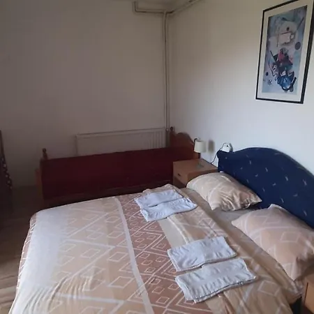 Nebojsa Apartment Sokobanja