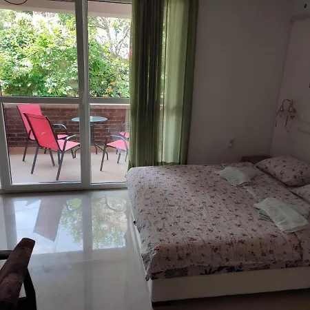 Apartament Nebojsa Sokobanja