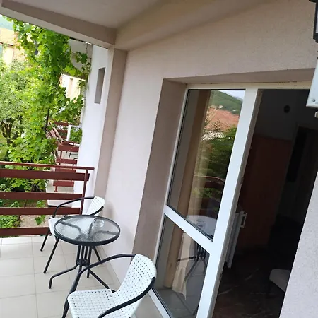 Nebojsa * סוקו בניה