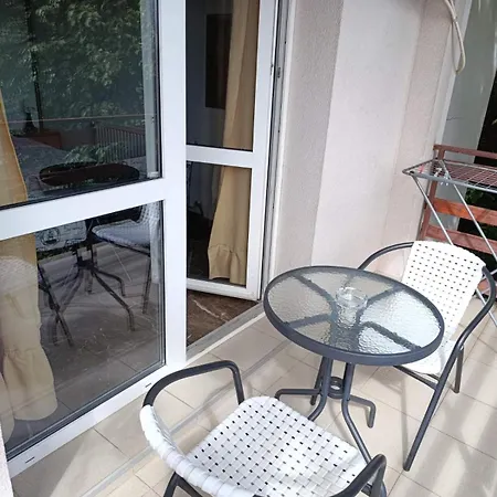 Apartment Nebojsa Sokobanja