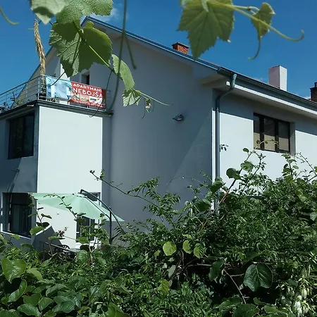 Nebojsa Apartment Sokobanja