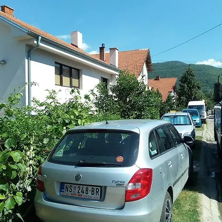 Nebojsa